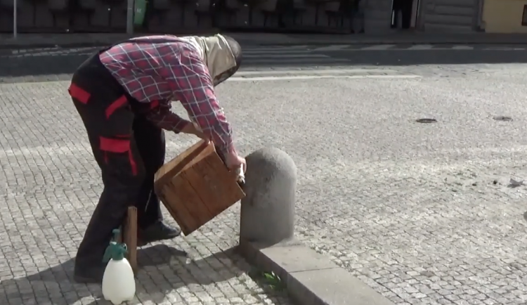 Včely do úlu přesunul odborník.