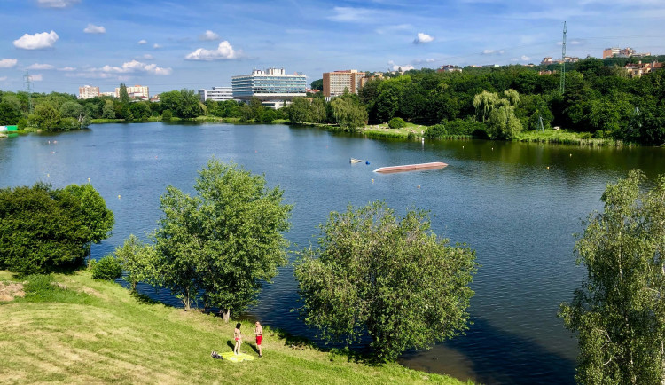 Je voda průhledná a nejsou v ní sinice? Pražští hygienici budou kontrolovat čtyři přírodní koupaliště