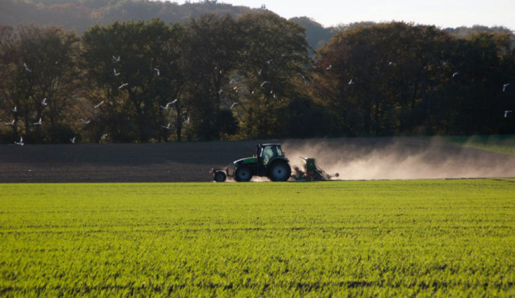 Omezte více pesticidy, vyzývá Evropská unie. Česko ale ani přesně neví, kolik jich spotřebuje