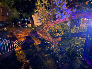 VIDEO: Noční bouřka v Praze zaměstnala hasiče a vyhnala ukrajinské uprchlíky ze stanů