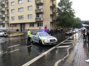 Policisté museli na chvíli zastavit dopravu.