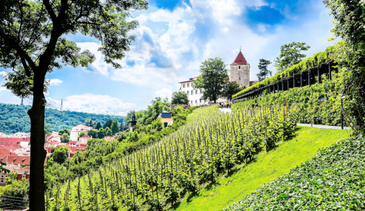 (c) EveNue Photography www.evenue.cz