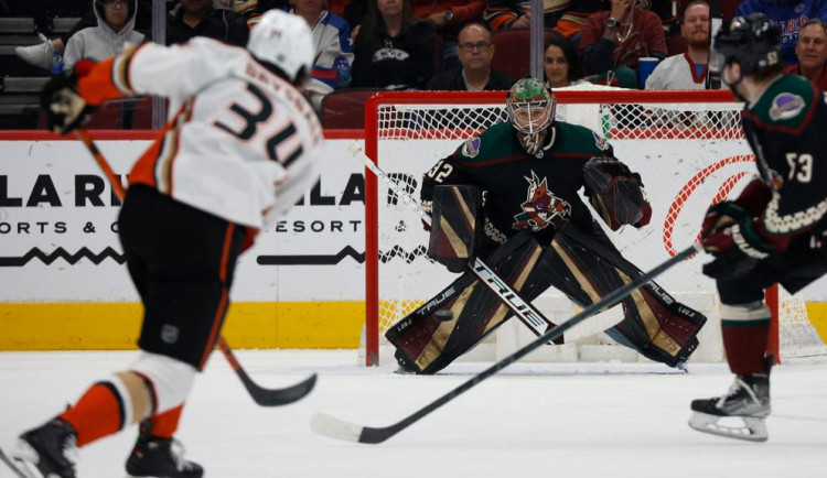 Z NHL do extraligy. Brankář Josef Kořenář posílí hokejovou Spartu