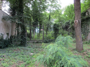 Nepoužívaný bubenečský hřbitov u Stromovky se dočká oprav