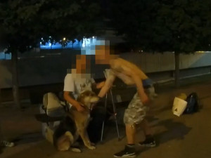 VIDEO: Opilý muž štval psa na strážníky. Nadával jim a plival na ně