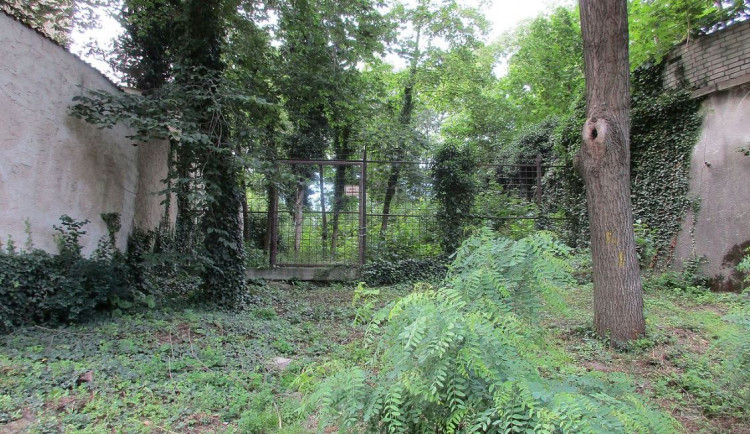 Nepoužívaný bubenečský hřbitov u Stromovky se dočká oprav