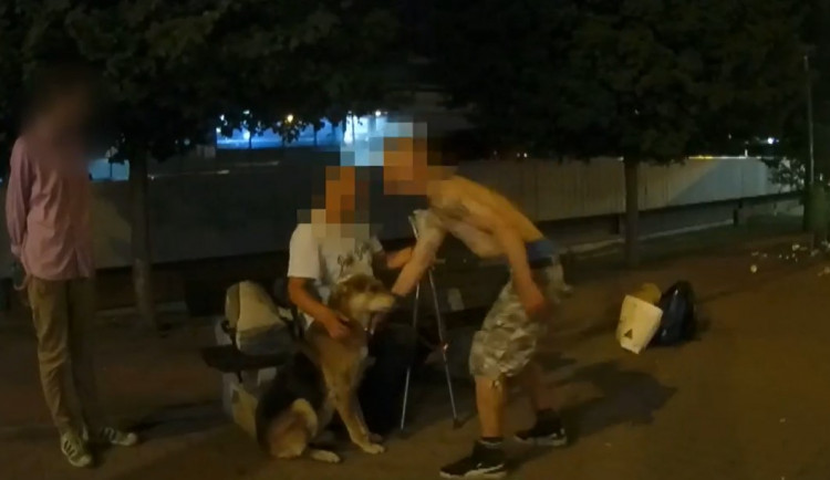 Muži na zastávce obtěžovali kolemjdoucí.