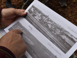 Praha 6 otevřela přírodní památník. Tvoří ho ořešáky z Lidic