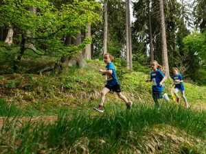 Poslední šance zazávodit si na Běhej lesy Slavkovský les