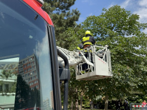 VIDEO: Při požáru bytu v Praze se zranili dva lidé. Kočka požár nepřežila