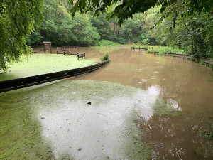 VIDEO: Meteorologové zaznamenali extrémní srážky. V Praze byl překročen třetí povodňový stupeň
