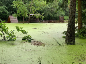 VIDEO: Meteorologové zaznamenali extrémní srážky. V Praze byl překročen třetí povodňový stupeň