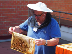 Na Vinohradech stáčeli med ze střešních úlů. Obliba včelaření v hlavním městě stále roste