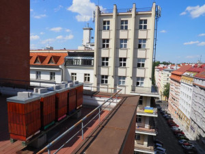 Na Vinohradech stáčeli med ze střešních úlů. Obliba včelaření v hlavním městě stále roste
