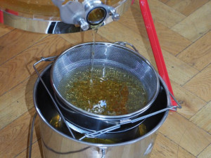 Na Vinohradech stáčeli med ze střešních úlů. Obliba včelaření v hlavním městě stále roste