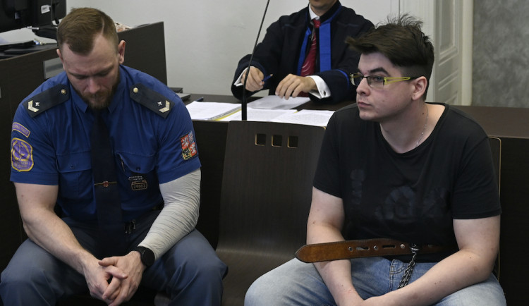 Za pokus o vraždu řidiče Boltu uložil soud mladíkovi 15 let vězení a léčbu.