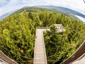 Stezka korunami stromů Lipno slaví první kulatiny. Oslavte je společně s ní i Monikou Absolonovou!