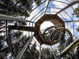 Stezka korunami stromů Lipno slaví první kulatiny. Oslavte je společně s ní i Monikou Absolonovou!