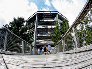 Stezka korunami stromů Lipno slaví první kulatiny. Oslavte je společně s ní i Monikou Absolonovou!