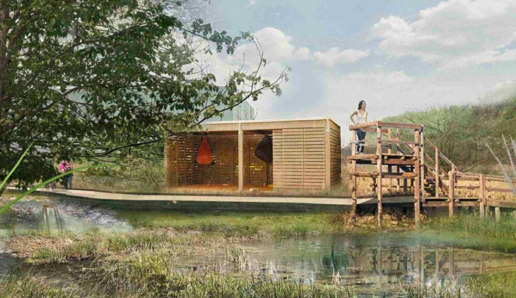 Mokřad pro obnově.