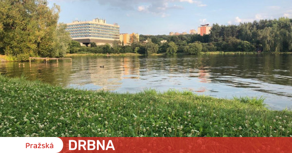 Swimming is prohibited in the Džbán pool in Prague 6. Cyanobacteria multiply in the water Health |  News |  Prague Gossip