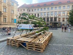 Hydroponie je ideální způsob, jak dostat zeleň do města