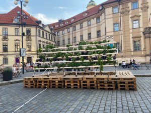Hydroponie je ideální způsob, jak dostat zeleň do města
