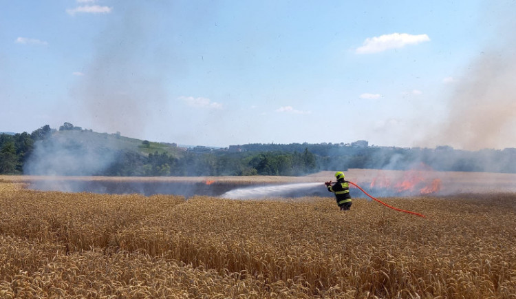 Požár suchého porostu v Divoké Šárce
