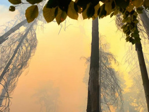 VIDEO: Po celé Praze je od dnešního rána cítit zápach požáru v Českém Švýcarsku