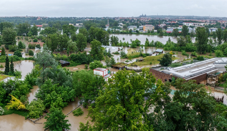 Zatopená Zoo - ilustrační foto