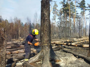 VIDEO: V Hřensku pomáhá padesátka hasičů z Prahy. Do nepřístupných míst nosí vodu na zádech