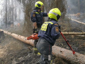 VIDEO: V Hřensku pomáhá padesátka hasičů z Prahy. Do nepřístupných míst nosí vodu na zádech