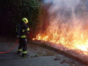 V Praze platí do odvolání zákaz rozdělávání ohňů na rizikových místech