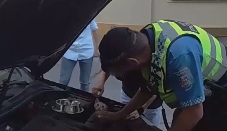 VIDEO: Strážníci zachránili kočku z motoru auta