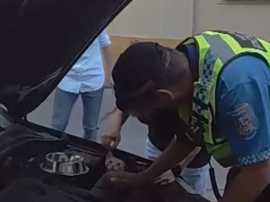 VIDEO: Strážníci zachránili kočku z motoru auta