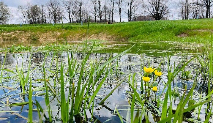 Liberecký kraj poskytne dotace ve výši patnáct milionů na životní prostředí. Podpoří i včelaře