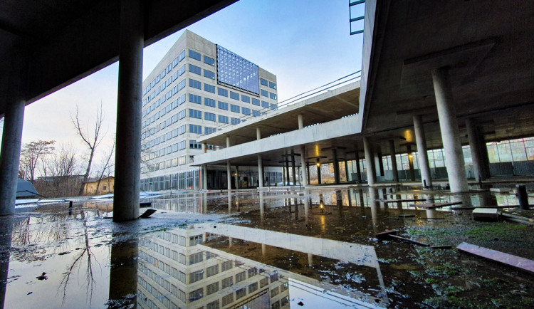 Budova Nová Palmovka