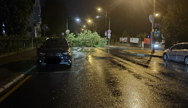 Krajem se prohnaly silné bouřky. V Liberci padající strom zabil člověka