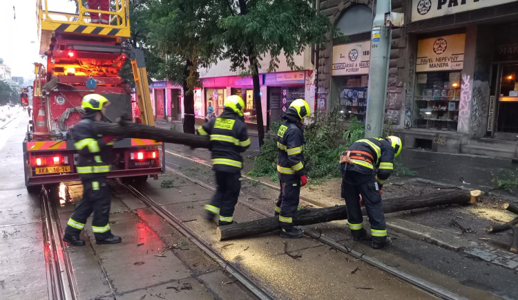 V ulici Ječná spadl strom na troleje