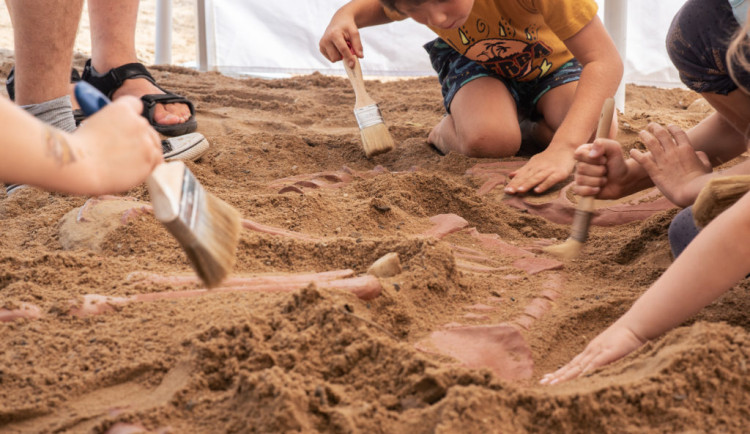 Odlít si trilobita nebo vyhrabat dinosaura. Desítka pořádá v Gutovce vědecký festival pro děti