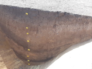 Archeologové odkrývají na okraji Prahy monumentální stavbu z doby kamenné