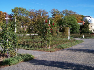 Růžový sad na Petříně se dočká oprav. Praha za ně zaplatí přes třicet milionů