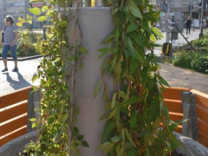 Šestka instalovala zelené lampy. Inspirovala se v Singapuru