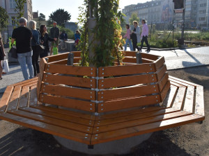 Šestka instalovala zelené lampy. Inspirovala se v Singapuru