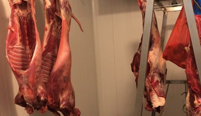 Maso bylo neznámého původu.