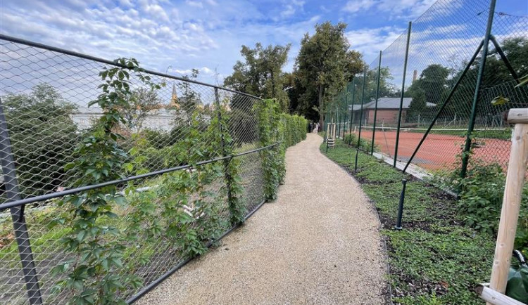 Albertovské schody s parkem Ztracenka propojil nový chodník