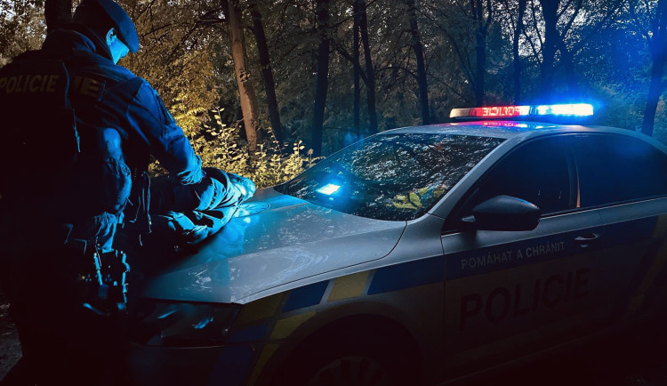 Pražští policisté pomáhají na hranicích s odhalováním uprchlíků