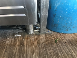 Syrové maso s vařeným, špinavé lednice. Pražští hygienici rozdali v srpnu přes třicet pokut