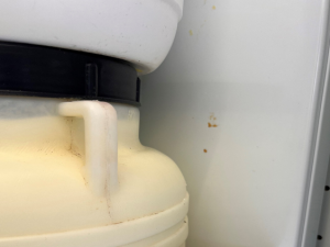 Pražští hygienici našli škodlivé bakterie ve skoro polovině testovaných zmrzlin