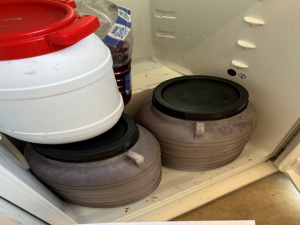 Pražští hygienici našli škodlivé bakterie ve skoro polovině testovaných zmrzlin